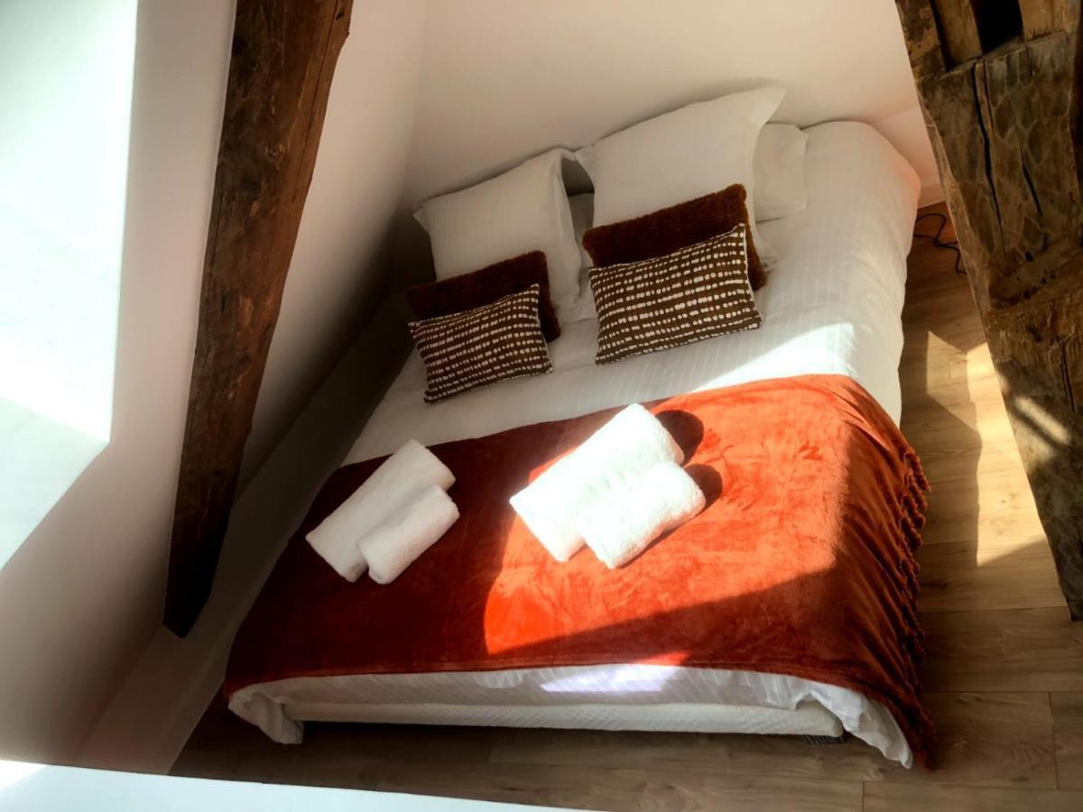 Loft Cosy Et Atypique